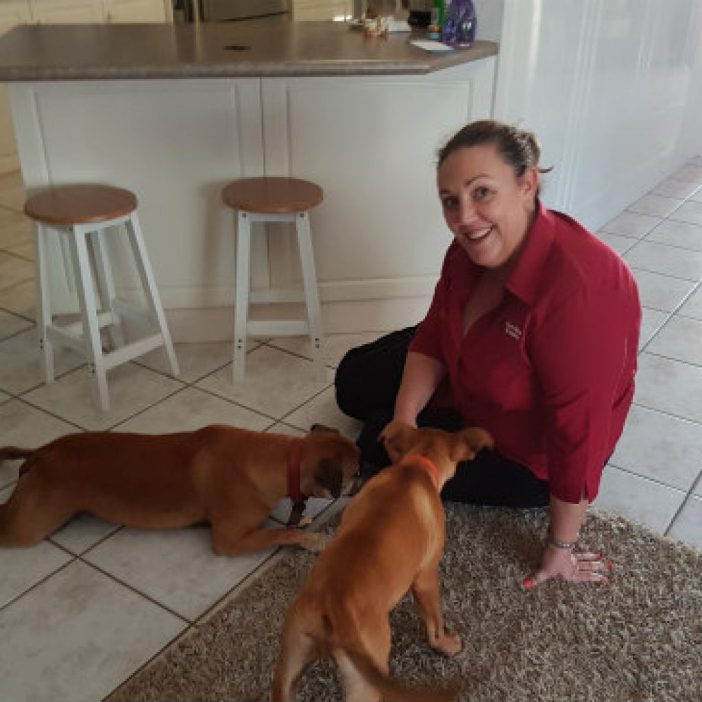 Secret Life of Bookkeepers | Kelly Wallace: how caring for rescue animals makes running my business less stressful