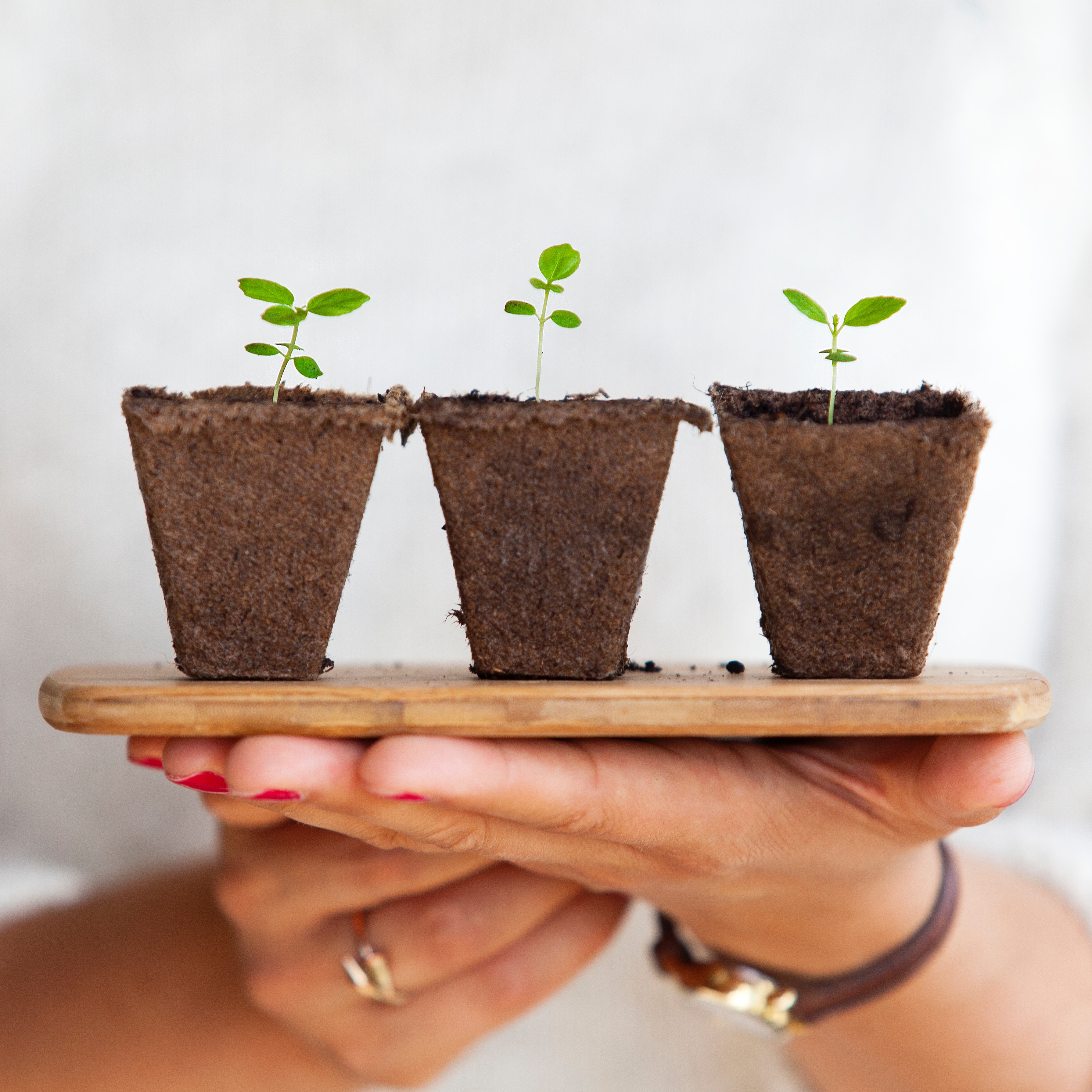 How to grow your bookkeeping business.