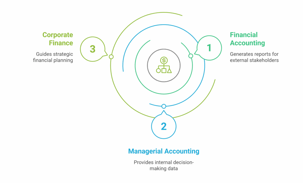 Different Financial Management Systems - visual selection