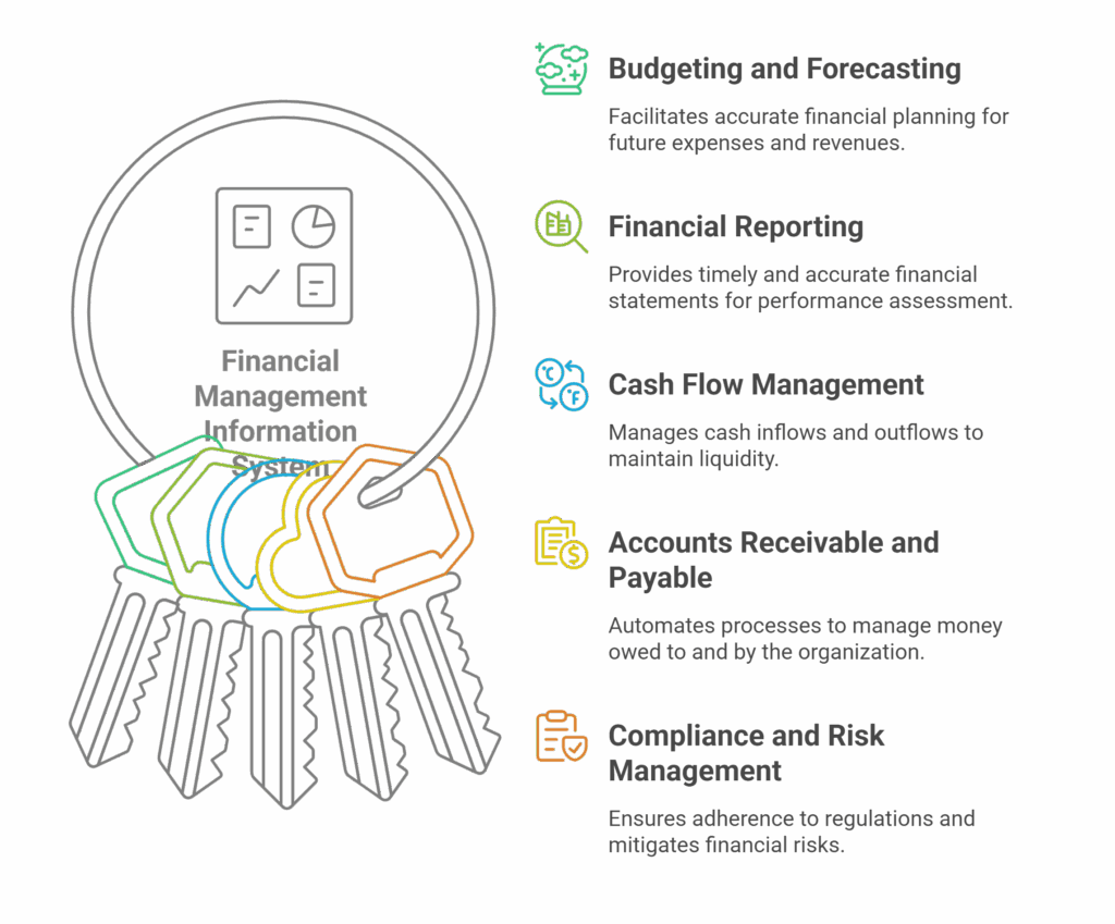 Key Components of a Financial Management Information System - visual selection